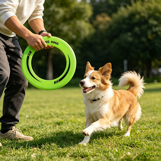 Frisbee Freestyle Disc - Frisbee à anneau creux durable en