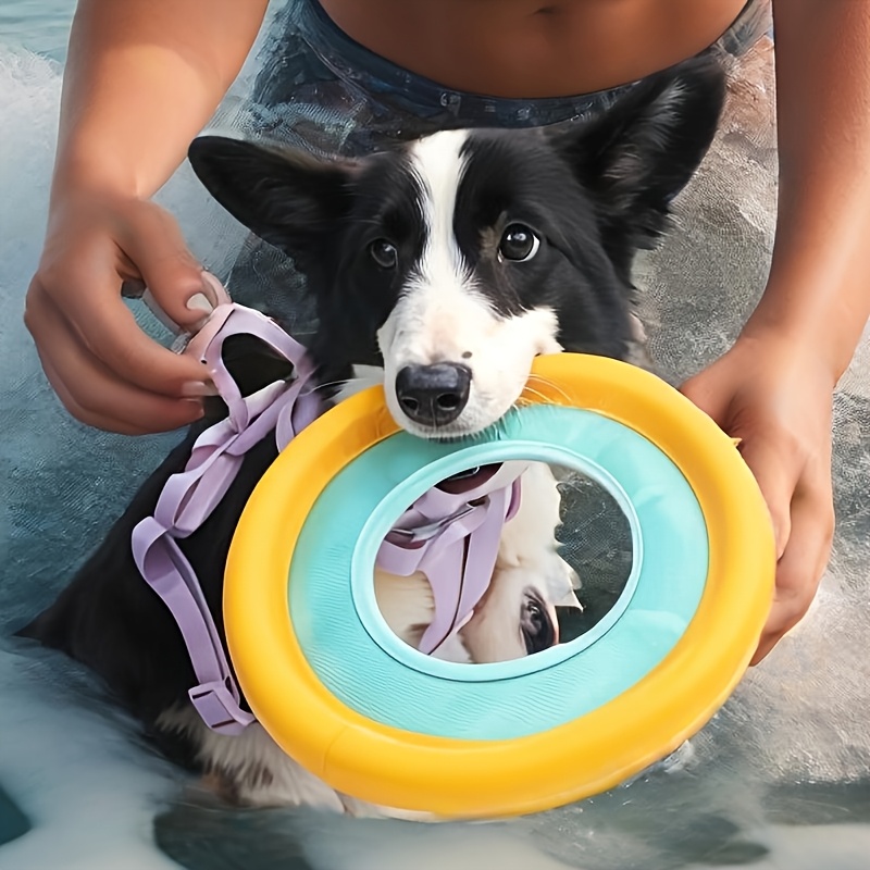 Frisbee flottant pour chien, j - Frisbee Freestyle Disc avis et prix