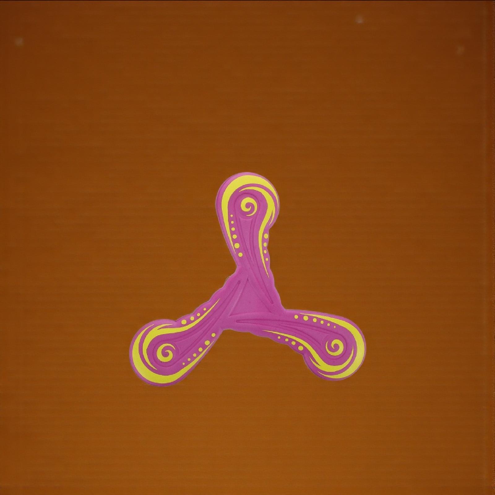 Boomerang d'extérieur pour enf - Party Games Easy Kids avis et prix