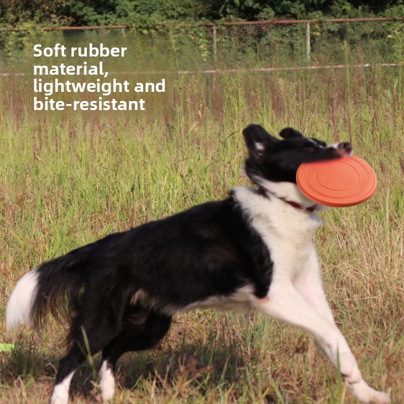 Frisbee souple pour chien, jou - Frisbee Freestyle Disc avis et prix