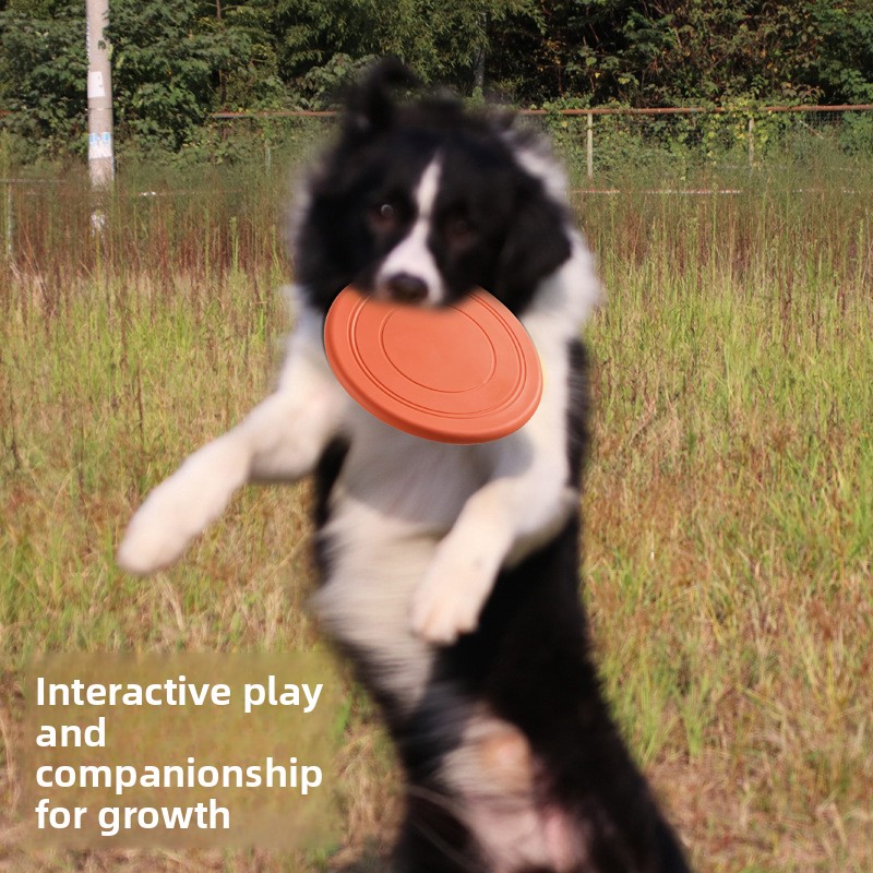 Frisbee souple pour chien, jou - Frisbee Freestyle Disc avis et prix