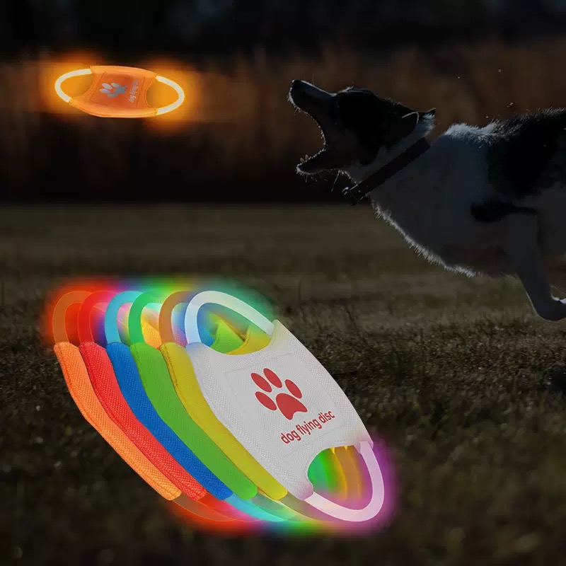 Disque volant LED lumineux pou - Frisbee Freestyle Disc avis et prix