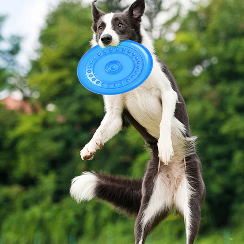 Frisbee durable et résistant a - Frisbee Freestyle Disc avis et prix