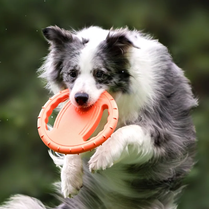 Frisbee durable pour chien, jo - Frisbee Freestyle Disc avis et prix