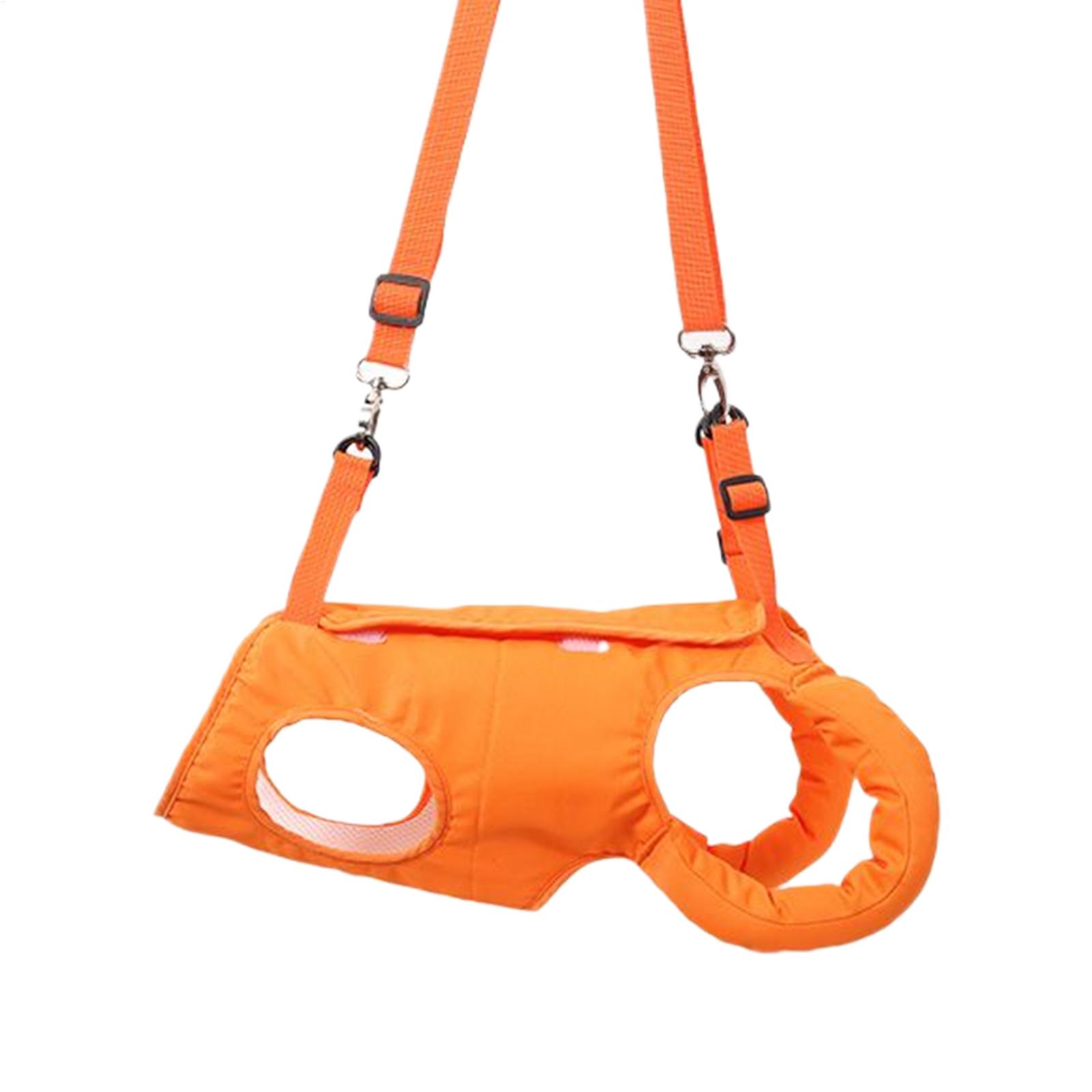 Grand porte-élingue pour chien - Ladder Toss Set avis et prix